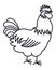 Rooster Farm animals Poultry farming Line art design