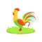 Rooster Farm Bird Cartoon Related Element On Patch Of Green Grass