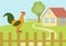rooster farm fence flat design cartoon vector animals birds