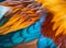 Rooster Feathers Close-up of the wing Colorful background texture