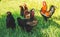 Rooster and free hens in the field in an eco farm