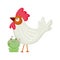 Rooster and frog farm animal cartoon