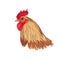 Rooster head image, vector on white background