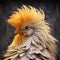 Rooster Hen Art: Hyper-realistic Zbrush Sculpture With Punk Twist