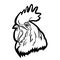 Rooster logo mascot. Isolated rooster head vector illustration.