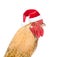 Rooster in red santa hat - a symbol of the Chinese New Year 2017. Isolated on white background