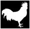 Rooster silhouette - cockerel or cock, farm bird