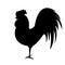 Rooster silhouette on white