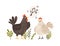 Rooster singing songs for hen. Cute and funny chicken listening to crowing. Colorful flat textured vector illustration