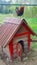 Rooster sit on the roof of the hut