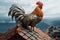 A rooster is sitting on the roof on a very sunny day. Sunny day in the village. Generative AI