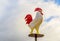 Rooster Statue on Pedestal