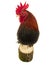 Rooster on stump isolated