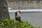 Rooster. Symbol of year. Rustic rural picture