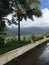 Rooster on Top of Hill Overlooking Hanalei Valley during Rain on Kauai Island, Hawaii.