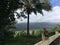 Rooster on Top of Hill Overlooking Hanalei Valley during Rain on Kauai Island, Hawaii.