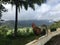 Rooster on Top of Hill Overlooking Hanalei Valley during Rain on Kauai Island, Hawaii.