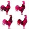 Rooster, triangular geometric polygonal roosters, isolated illustration of on white background