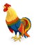 Rooster vector ps10