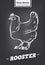 Rooster vintage logo in retro style. Poster for Butchery meat shop with poultry.