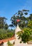 Rooster Windvane on Building