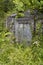 Root cellar door covered in vines