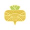 Root crop. Turnip icon with pattern on white