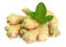 Root of ginger with mint