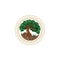 Root leaves tree logo for agriculture landscaping planting medical spa company