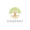 Root leaves tree logo for agriculture landscaping planting medical spa company
