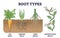 Root types examples in soil from side view in biological outline diagram