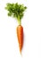 Root Vegetable Elegance: Isolated Carrot on White Background