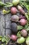 Root vegetables turnips, radishes, beets on a wooden background