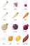 Root vegetables. Vector illustration.