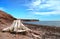 Roots on the beach in Gaspesie