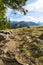 Roots on meadow with view on Tatra mountains, Poland