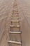 Ropa ladder at Singing Sands Dune near Dunhuang, Gansu Province, Chi