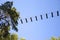 Rope adventure park in a summer forest scenic blue sky scenery. Overcoming obstacles and reaching heights abstract concept