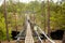 Rope bridge in the National Park Repovesi, Finland.