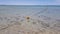 Rope with buoys in the sea