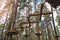 Rope course, obstacle track high in the trees in adventure park