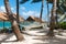 Rope hammocks suspended on tropical island awaiting traveler to relax in.