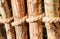Rope is knotted around wooden posts, fence posts. Close-up natural texture of the tree bark