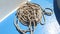 Rope lying on deck of ship