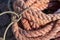 A rope lying on the wharf in the port. Fishing accessories in the port