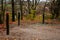 Rope maze in park, Stretched between trees in castle garden, Loucen romantic baroque chateau, Czech republic