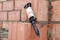 Rope plumb for even brickwork. Compliance with the correct laying of walls and corners of ceramic bricks. Bricklayer\\\'s tool