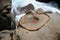 Rope and Rock at the Udo Jingu - Shinto Shrine located in Miyazaki, Japan. People throw coins into the circle for getting good luc