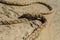 Rope on sand, Calm picture, ship line on the beach