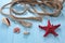 Rope shells starfish